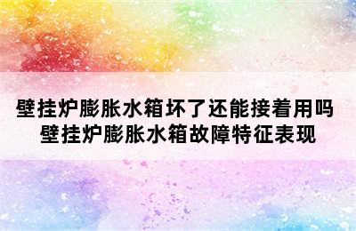 壁挂炉膨胀水箱坏了还能接着用吗 壁挂炉膨胀水箱故障特征表现